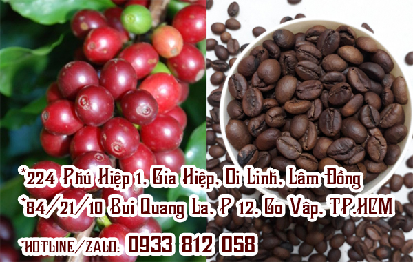 Mua cà phê hạt rang Tiền Giang